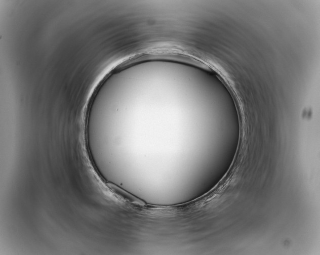 X0000099301392200805161338