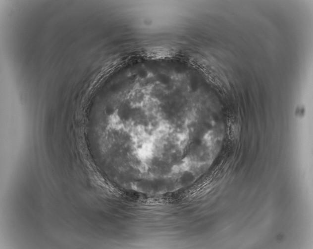 X0000099301393200805161338