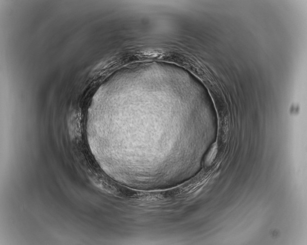 X0000099301394200805161338