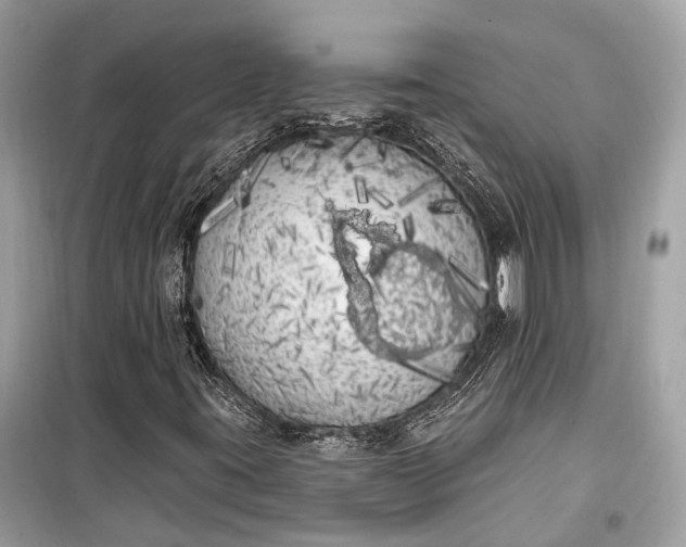 X0000099301395200805161338