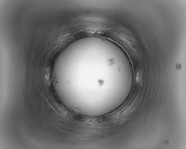 X0000099301396200805161338