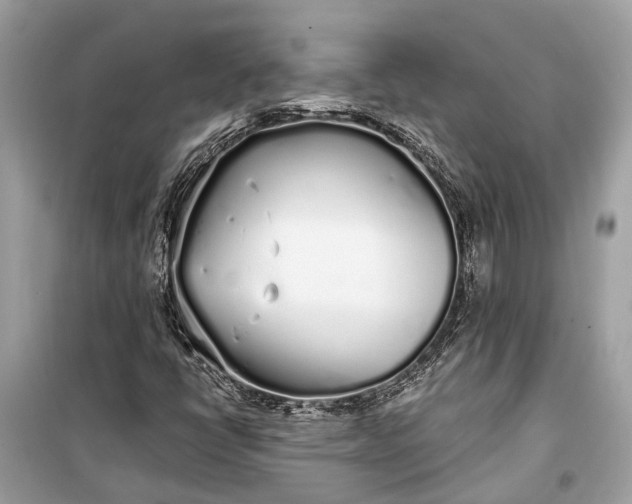 X0000099301398200805161338