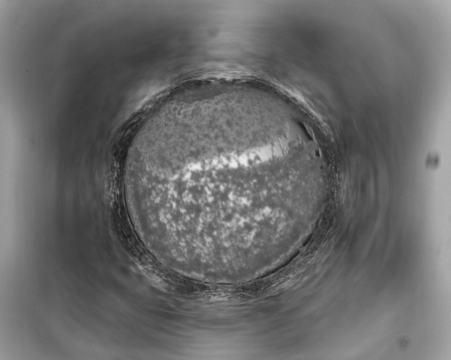 X0000099301399200805161338