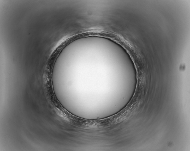 X0000099301400200805161338