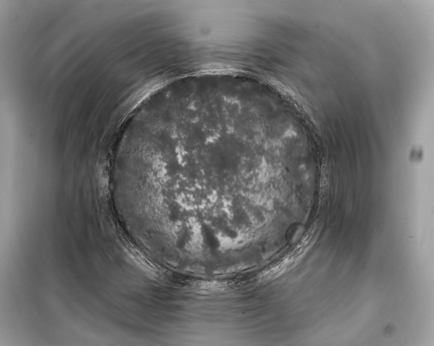 X0000099301401200805161338