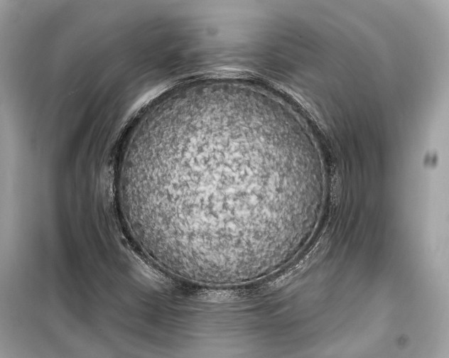 X0000099301402200805161338