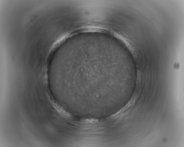 X0000099301403200805161338