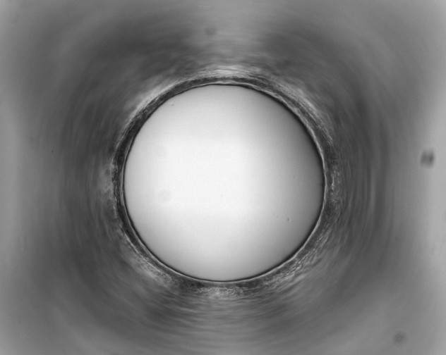 X0000099301404200805161338