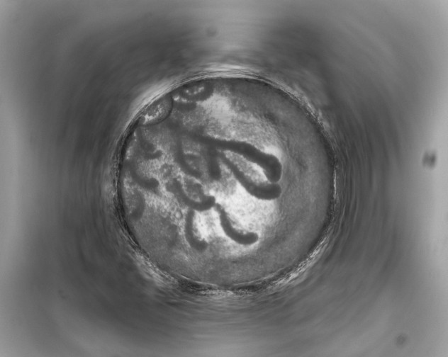 X0000099301405200805161338