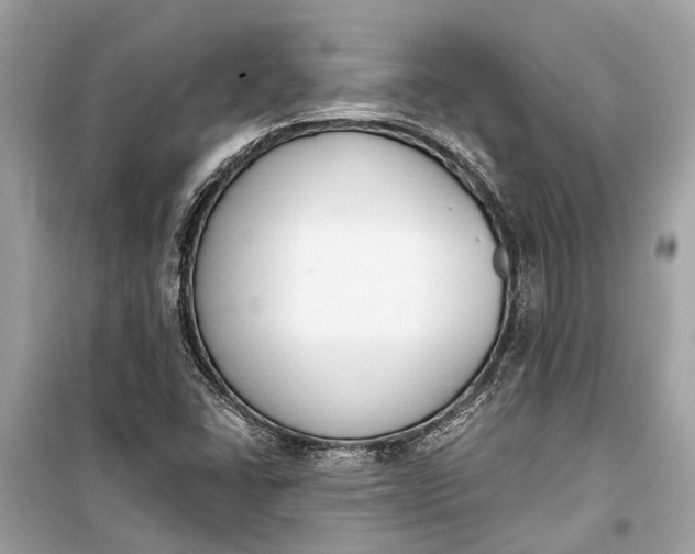 X0000099301406200805161338