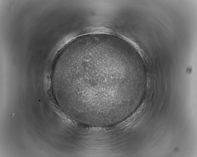 X0000099301407200805161338