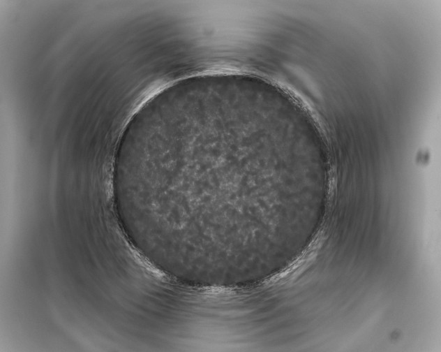 X0000099301409200805161338