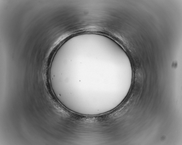 X0000099301410200805161338