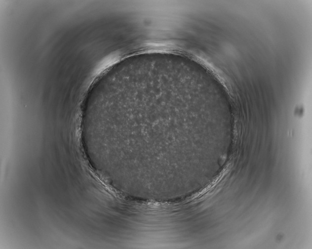 X0000099301411200805161338