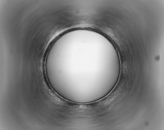 X0000099301412200805161338