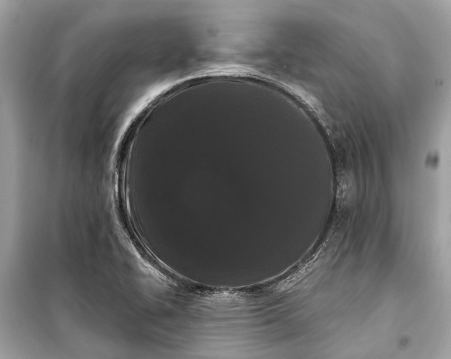 X0000099301414200805161338