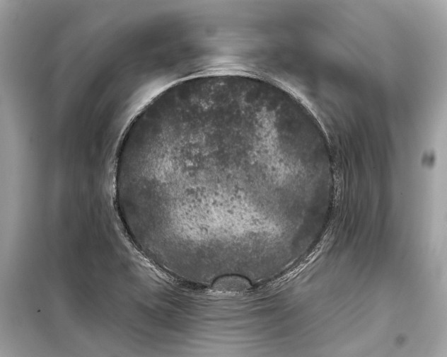 X0000099301415200805161338