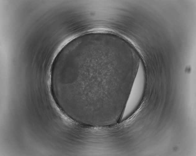 X0000099301418200805161338