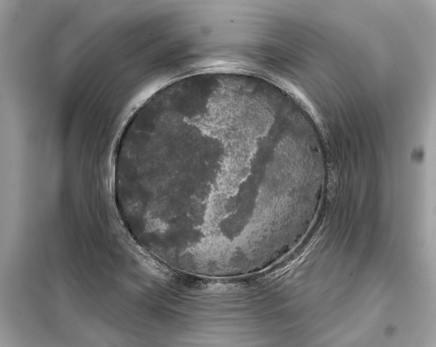 X0000099301419200805161338