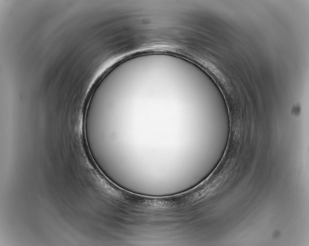 X0000099301420200805161338