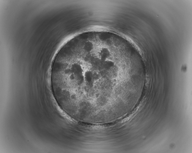 X0000099301421200805161338