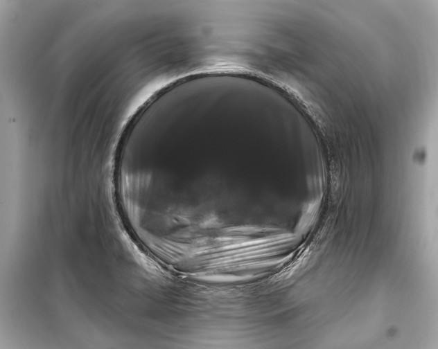 X0000099301422200805161338