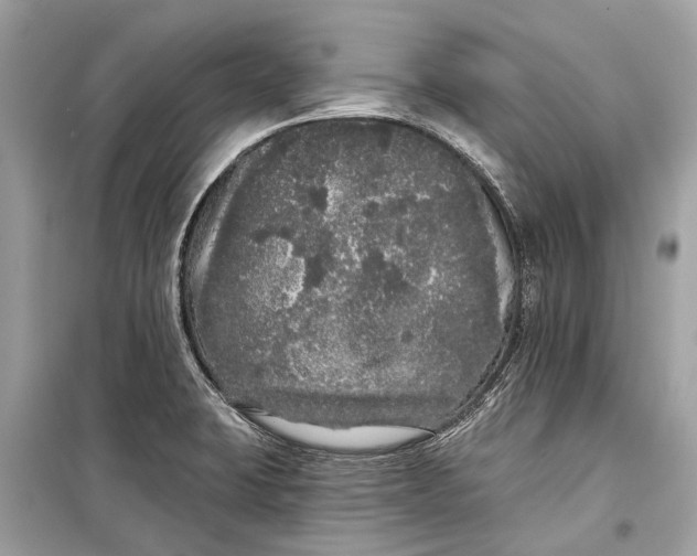 X0000099301423200805161338