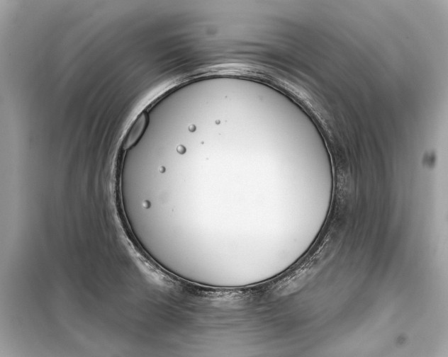 X0000099301426200805161338