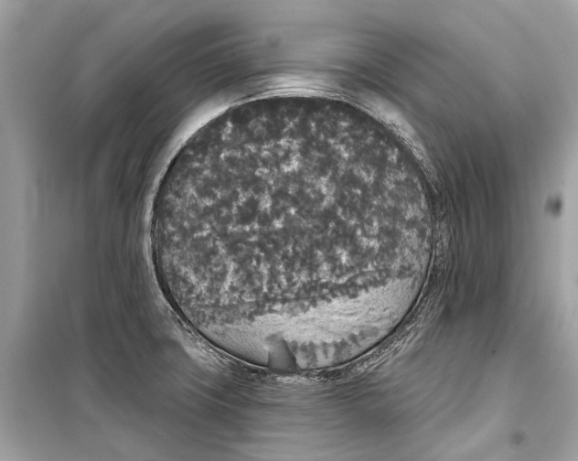 X0000099301427200805161338