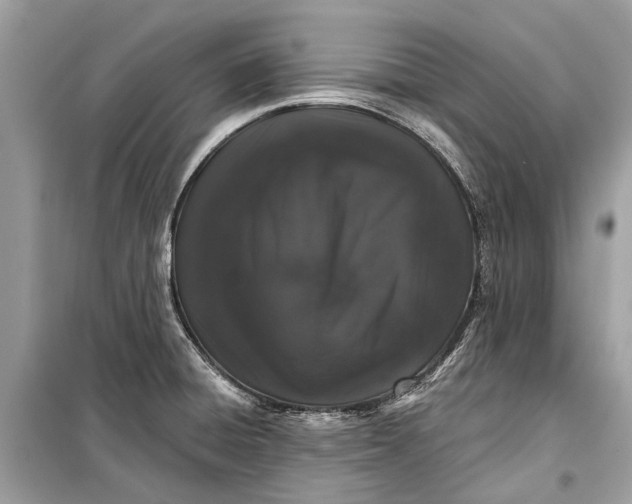 X0000099301428200805161338