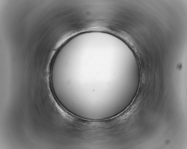 X0000099301430200805161338