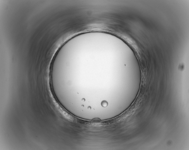 X0000099301431200805161338