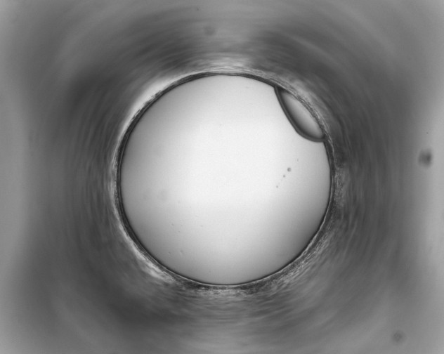 X0000099301432200805161338