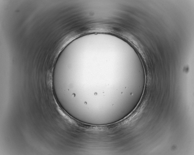 X0000099301433200805161338