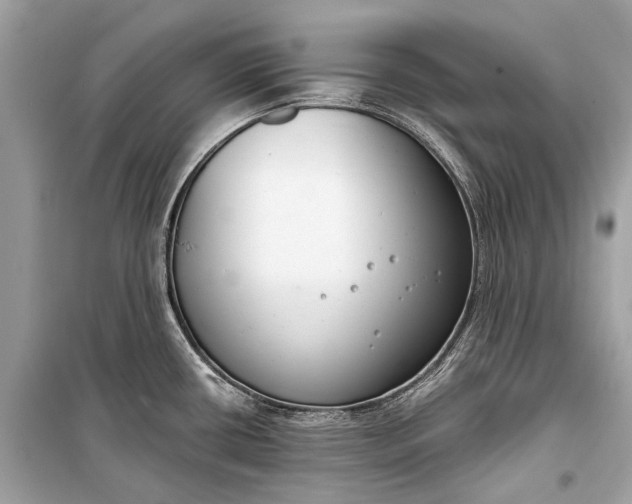 X0000099301434200805161338