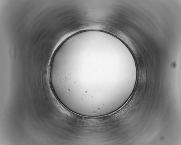 X0000099301436200805161338