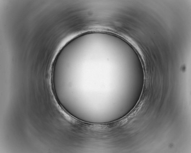 X0000099301437200805161338