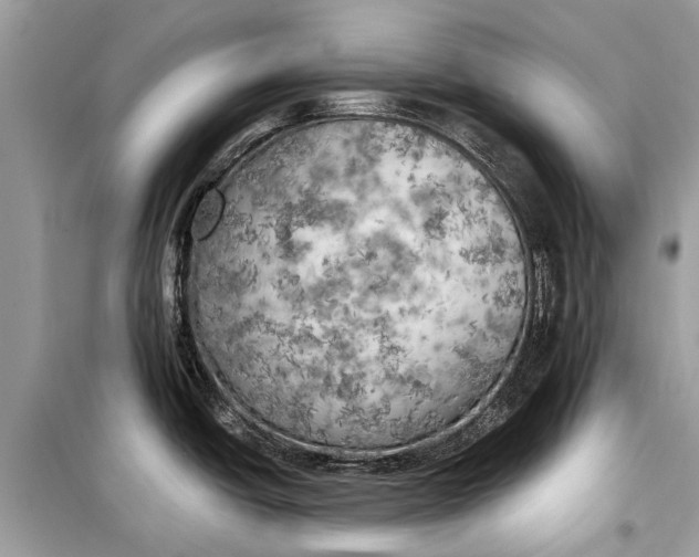 X0000099301438200805161338