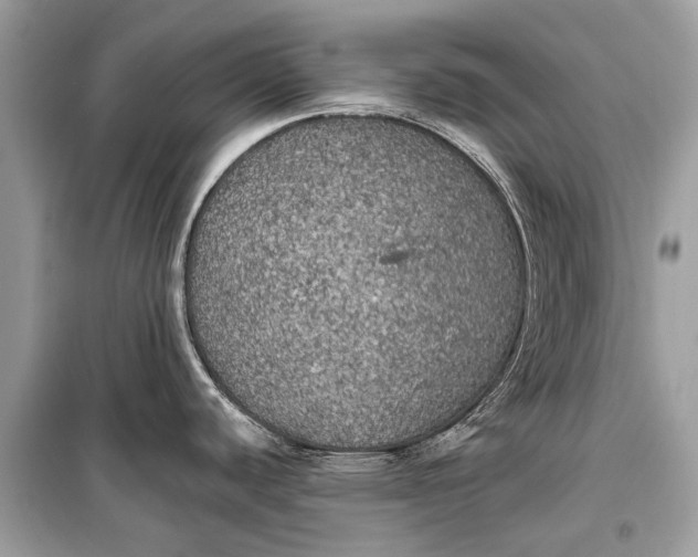 X0000099301440200805161338