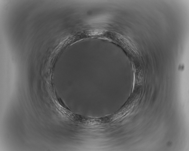 X0000099301441200805161338