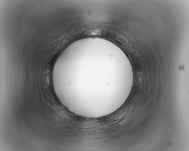 X0000099301442200805161338