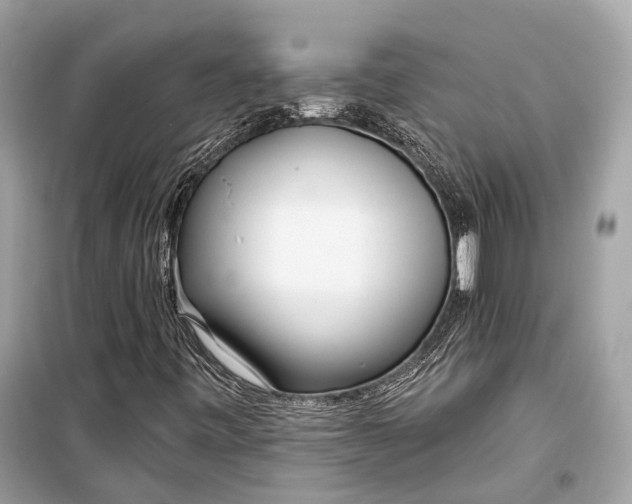 X0000099301443200805161338