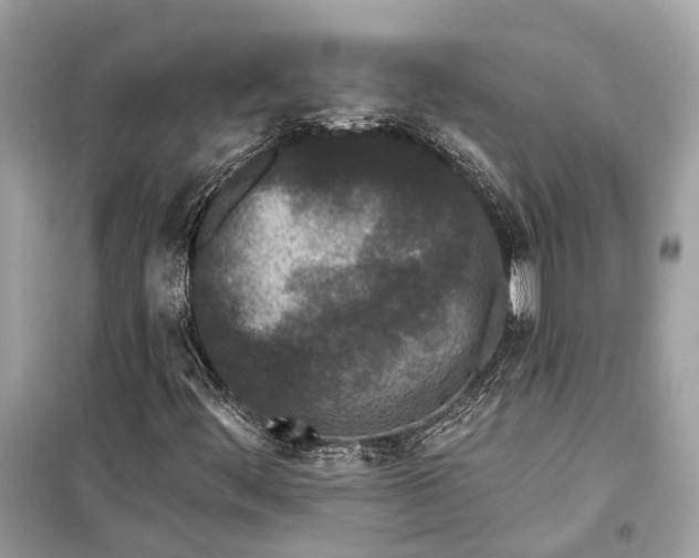 X0000099301444200805161338