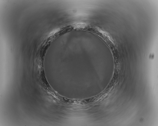 X0000099301445200805161338