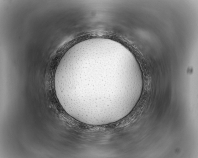 X0000099301446200805161338