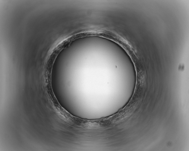 X0000099301448200805161337