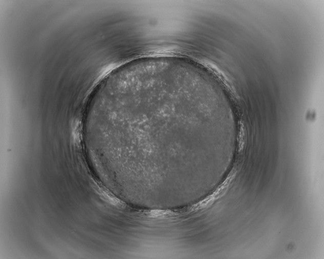 X0000099301449200805161337