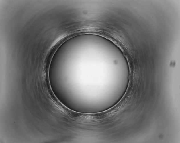 X0000099301450200805161337