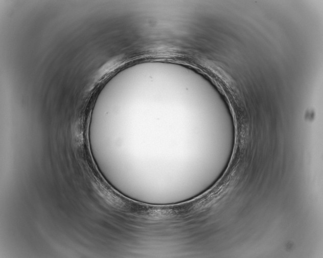 X0000099301451200805161337