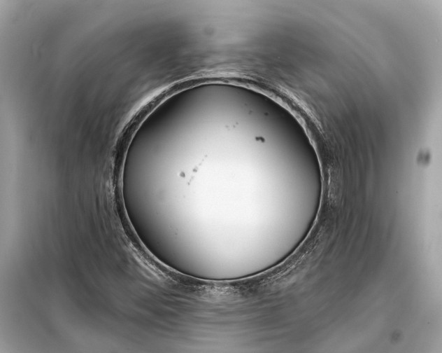 X0000099301452200805161337